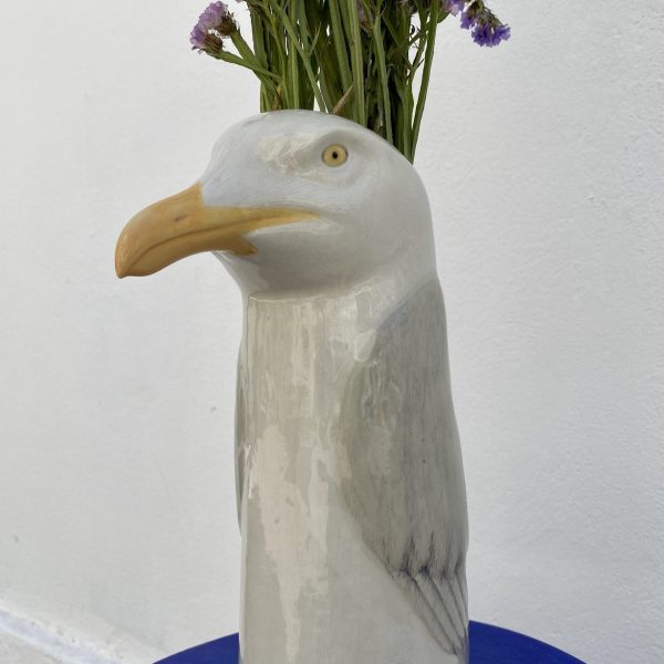 Animal Jungle Gaviota