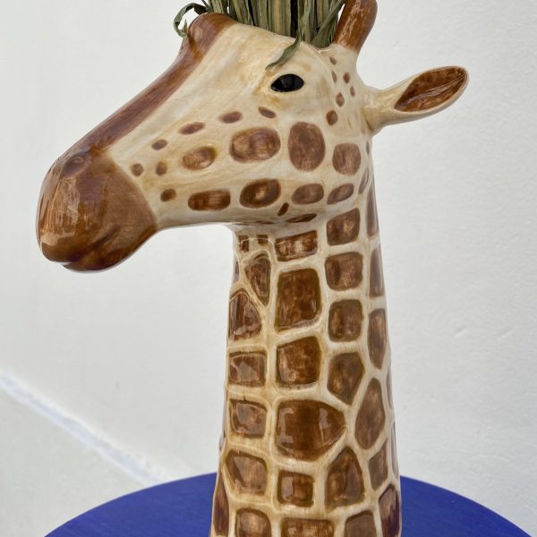 Animal Jungle Jirafa