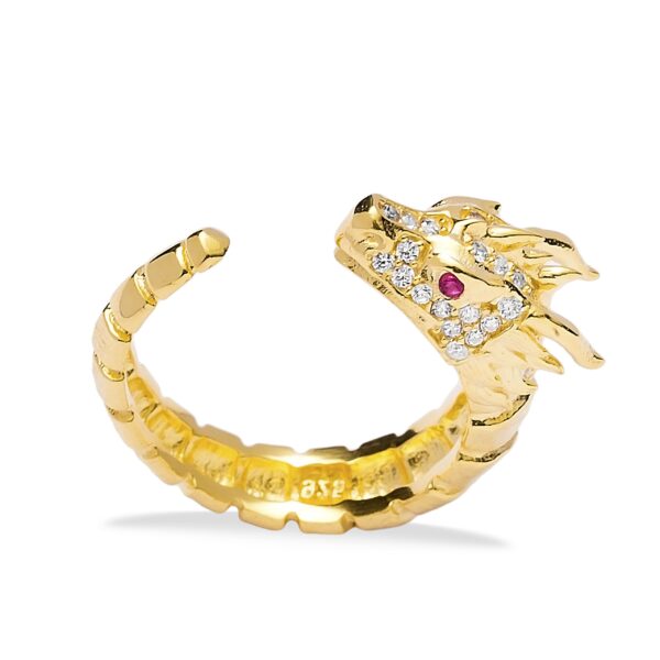 Anillo Protección Dragón Rubí GlobE Tarifa